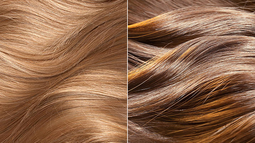 what are the hair color trends in 2022 (4)